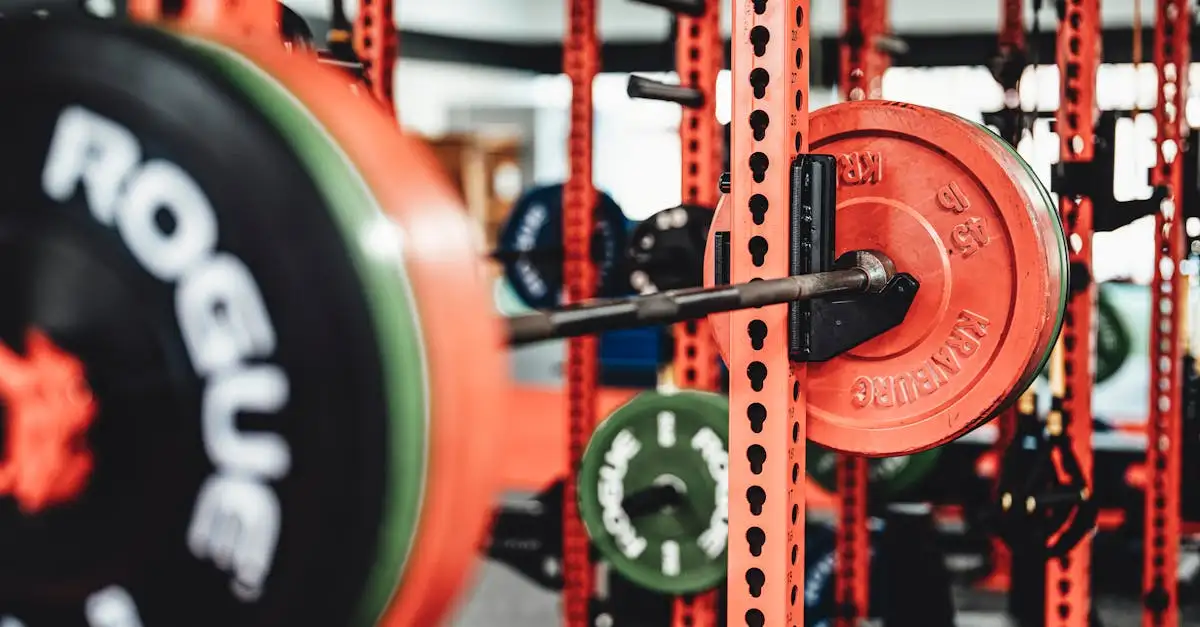 Hantelscheiben kaufen: Gewichtsscheiben für Ihr Training