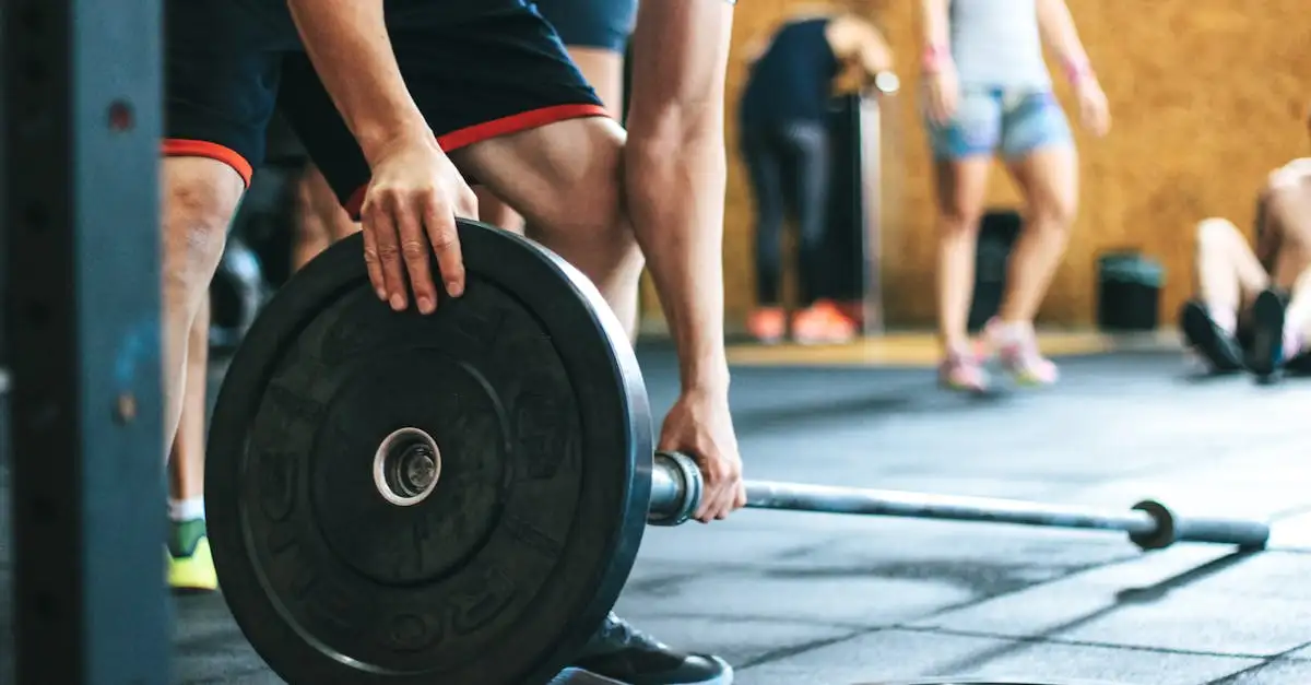 Pro Fitness: Ihr Weg zu mehr Gesundheit und Kraft